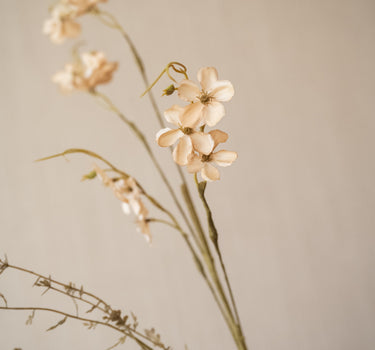 Kunstbloemen Jasmine Beige