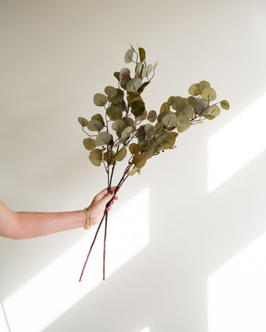 Bloomingville - Faux Flower Eucalyptus Brown - Things I Like Things I Love
