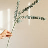Bloomingville - Faux Flower Eucalyptus Stem - Things I Like Things I Love