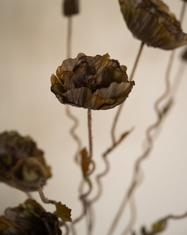 Bloomingville - Faux Flower Poppy Stem Brown - Things I Like Things I Love