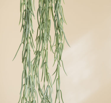 Bloomingville Faux Plant Hanging Tilandsia - Things I Like Things I Love
