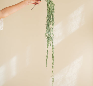 Bloomingville Faux Plant Hanging Tilandsia - Things I Like Things I Love