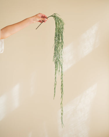 Bloomingville Faux Plant Hanging Tilandsia - Things I Like Things I Love