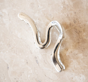 Chrome Clip Silver - Things I Like Things I Love