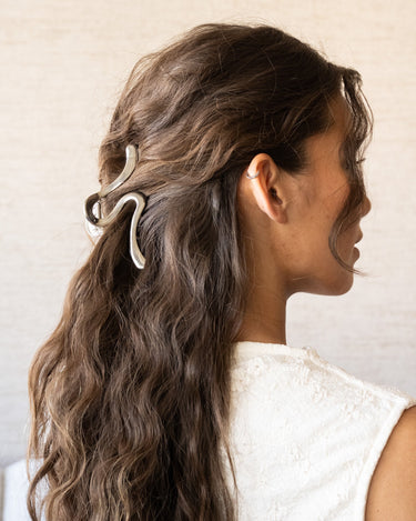 Chrome Clip Silver - Things I Like Things I Love
