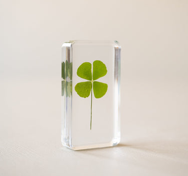 Cube Lucky Clover - Things I Like Things I Love
