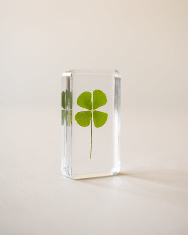 Cube Lucky Clover - Things I Like Things I Love