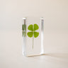 Cube Lucky Clover - Things I Like Things I Love