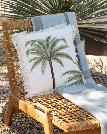 Cushion Palm Tree Miami - Things I Like Things I Love