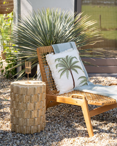 Cushion Palm Tree Miami - Things I Like Things I Love