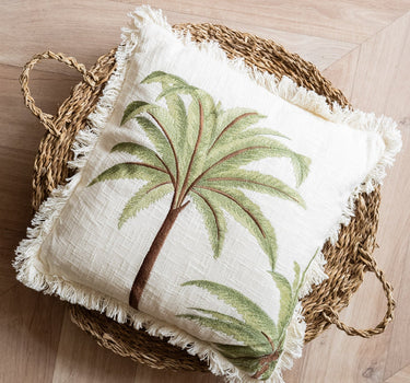 Cushion Palm Tree Miami - Things I Like Things I Love