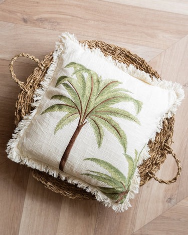 Cushion Palm Tree Miami - Things I Like Things I Love