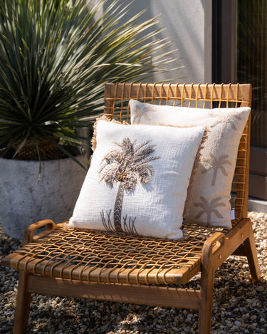 Cushion Palm Tree Teske - Things I Like Things I Love