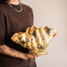 Deco Bowl Marine Shell Speckled - Things I Like Things I Love