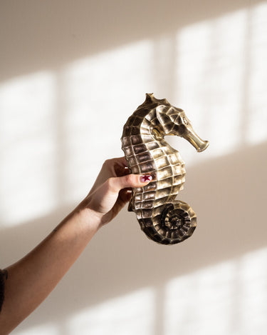 Deco Box Seahorse - Things I Like Things I Love