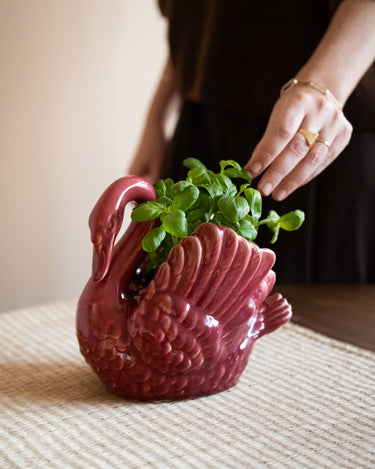 Deco Planter Swan Burgundy - Things I Like Things I Love
