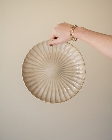 Dinner Plate Astera - Things I Like Things I Love
