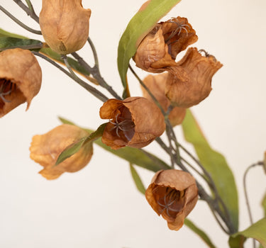 Faux Flower Abutilon Orange - Things I Like Things I Love