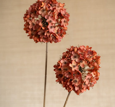 Faux Flower Allium Terra - Things I Like Things I Love