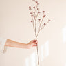 Faux Flower Berries Burgundy - Things I Like Things I Love