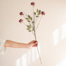 Faux Flower Peonies Pink - Things I Like Things I Love