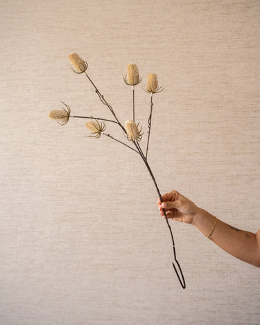 Faux Flower Thistle Beige - Things I Like Things I Love