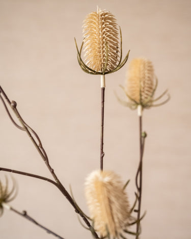 Faux Flower Thistle Beige - Things I Like Things I Love