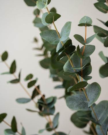 Faux Tree Eucalyptus Green - Things I Like Things I Love