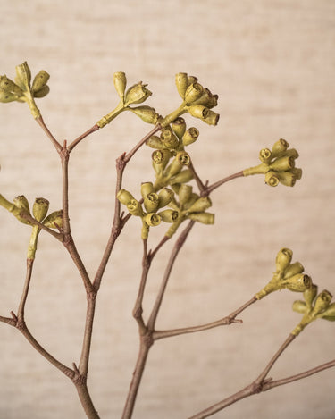 Handgemaakte Kunstbloem Eucalyptus Tak Groen - Things I Like Things I Love