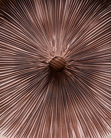 Hanglamp Nuvia Bruin - Things I Like Things I Love