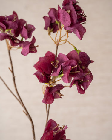 Kunstbloem Bougainvillea Bordeaux - Things I Like Things I Love