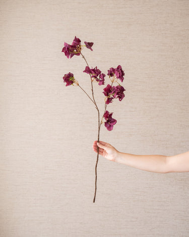Kunstbloem Bougainvillea Bordeaux - Things I Like Things I Love