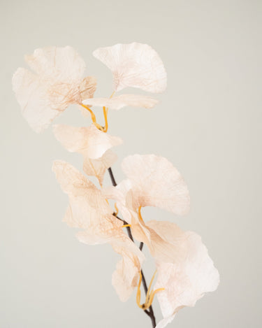 Kunstbloem Ginkgo Beige - Things I Like Things I Love