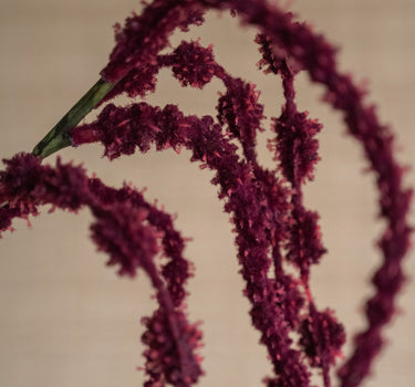 Kunstbloem Hangamarant Aubergine - Things I Like Things I Love