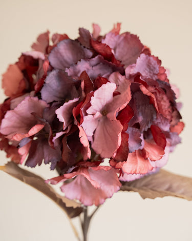 Kunstbloem Hortensia Bordeaux - Things I Like Things I Love