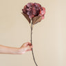 Kunstbloem Hortensia Rood - Things I Like Things I Love