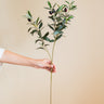 Kunstbloem Olijftak - Things I Like Things I Love