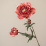 Kunstbloem Ranonkel Roze - Things I Like Things I Love