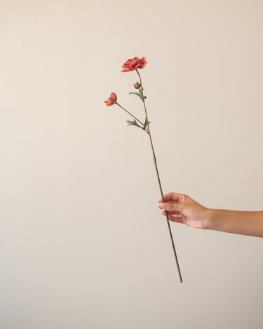 Kunstbloem Ranonkel Roze - Things I Like Things I Love
