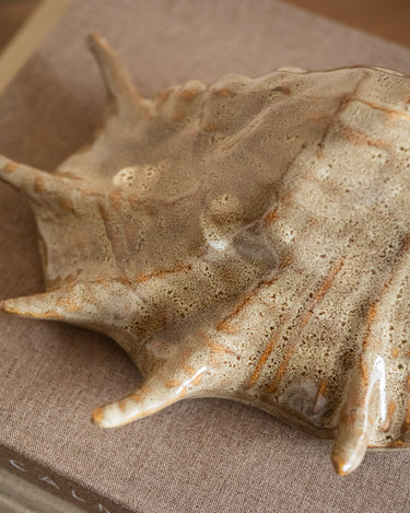 Ornament Shell Brown - Things I Like Things I Love