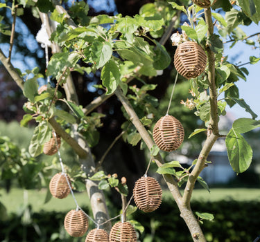 Outdoor String Lights Carlisle Brown - Things I Like Things I Love