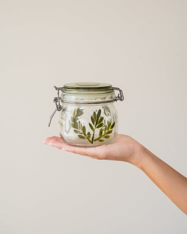 SET VAN 4 - Voorraadpotten Botanisch - Things I Like Things I Love