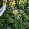 Standing Lantern Solar Light Brown - Things I Like Things I Love