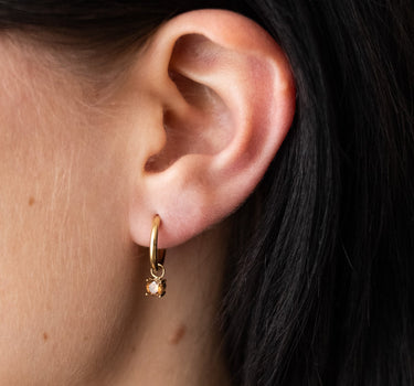 TILTIL Set van 2 Teddy Zircon Earrings Bruin Goud - Things I Like Things I Love