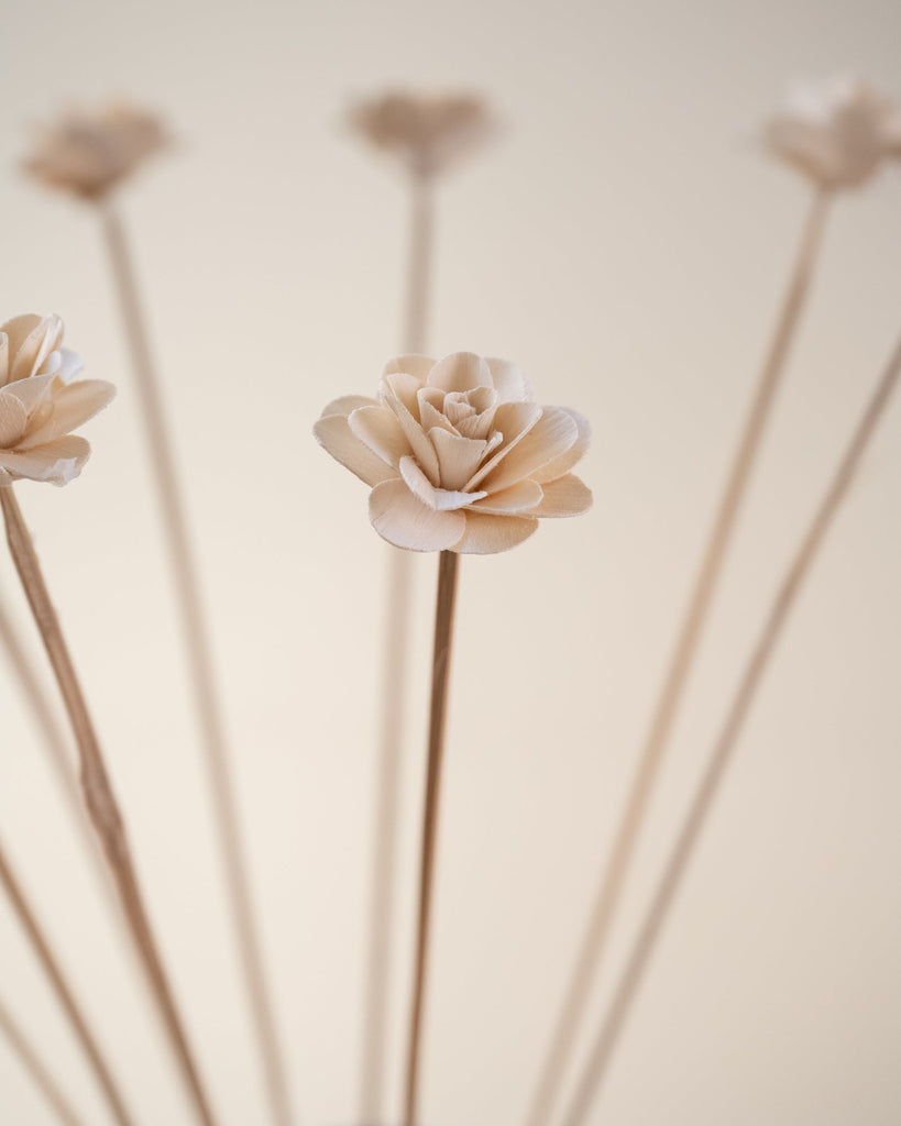 Dried Flower Wood Rose - SET OF 10 - Things I Like Things I Love